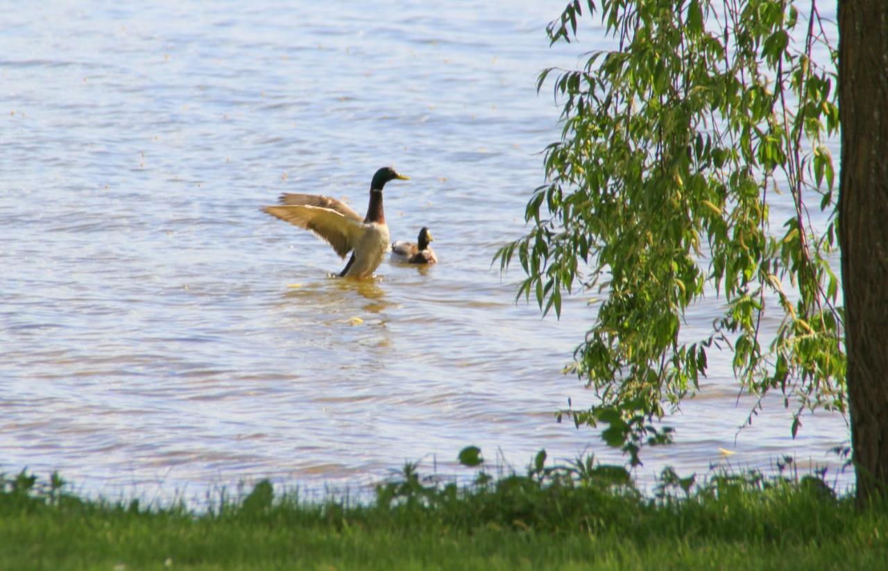 Junior-Suite Relaxe Am See Ascheberg  Eksteriør billede